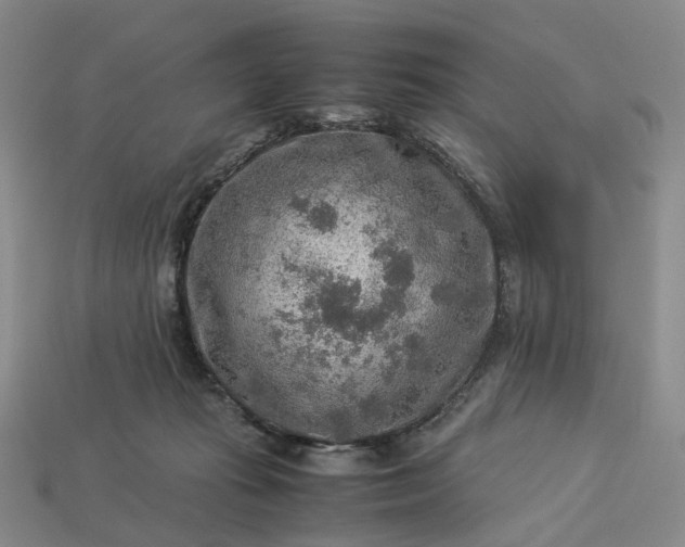 X0000112950269200909071121