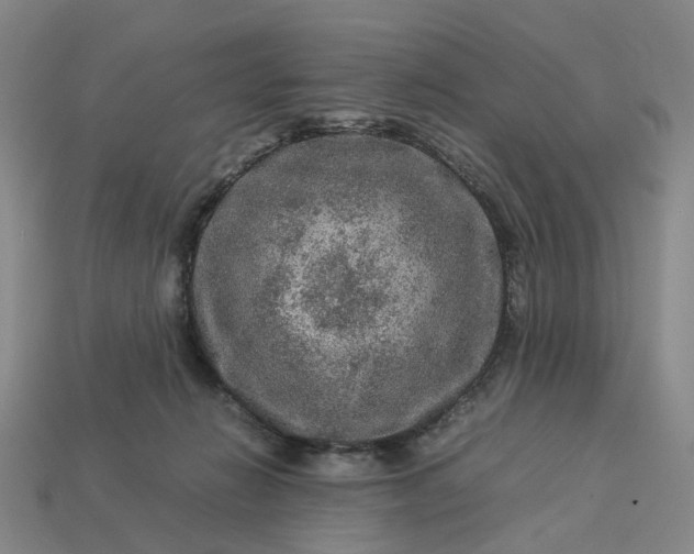 X0000112950270200909071121