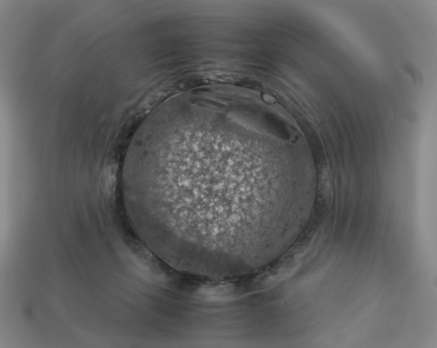 X0000112950271200909071121