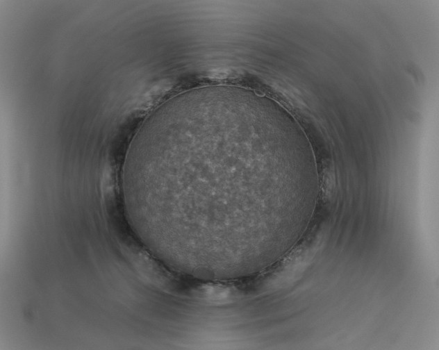 X0000112950272200909071121