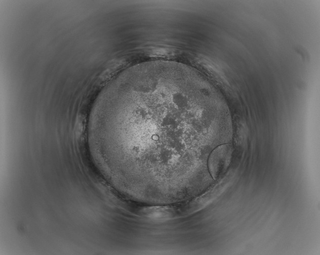 X0000112950273200909071121