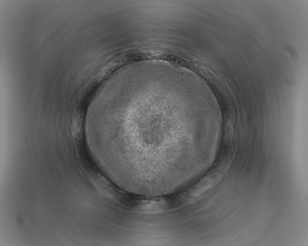 X0000112950274200909071121