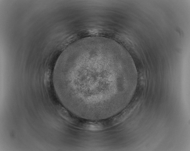 X0000112950275200909071121