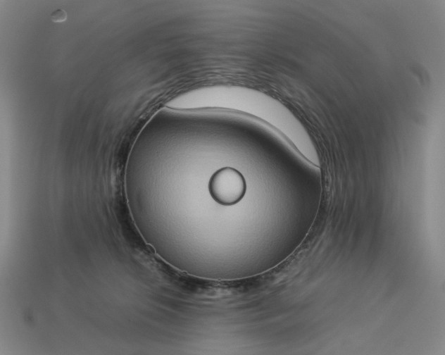 X0000112950276200909071121