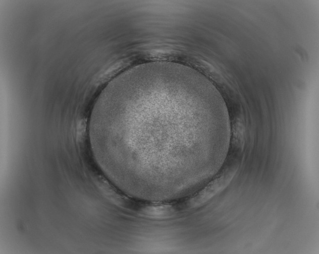 X0000112950278200909071121