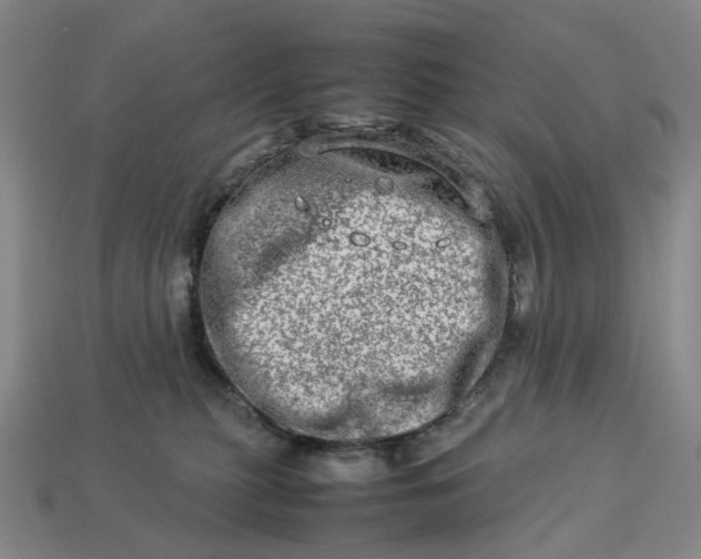 X0000112950279200909071121