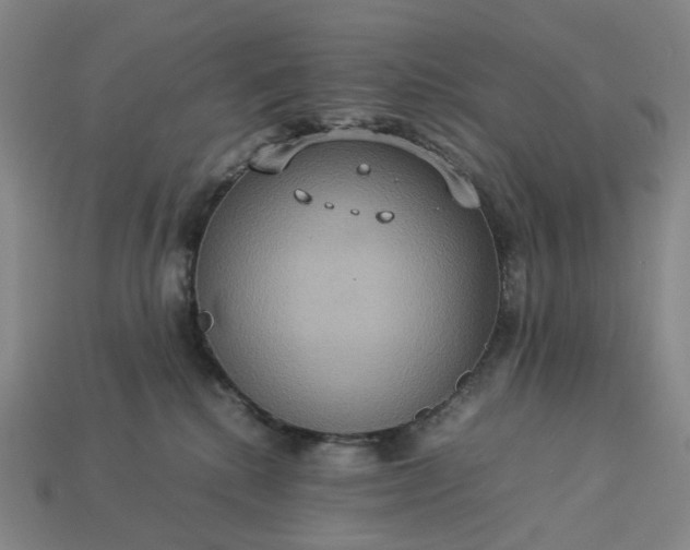 X0000112950280200909071121