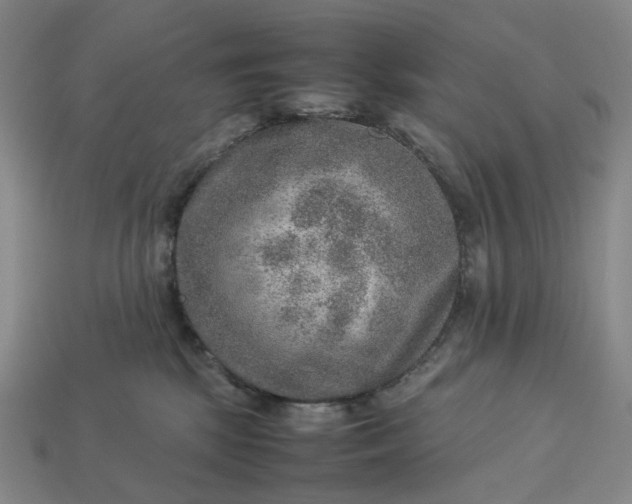 X0000112950281200909071121