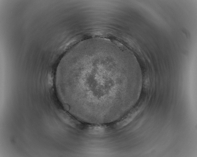 X0000112950282200909071121