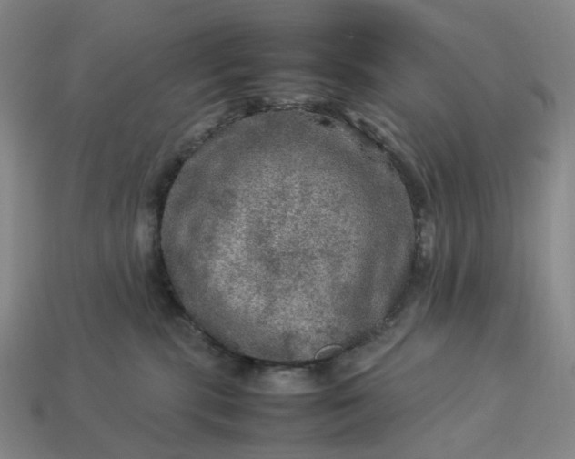 X0000112950283200909071121