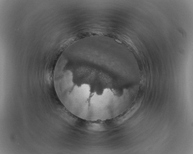 X0000112950285200909071121