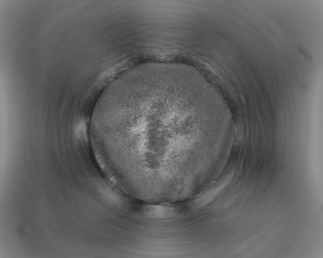 X0000112950286200909071121