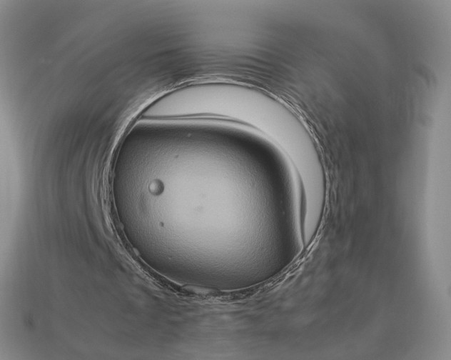 X0000112950289200909071121