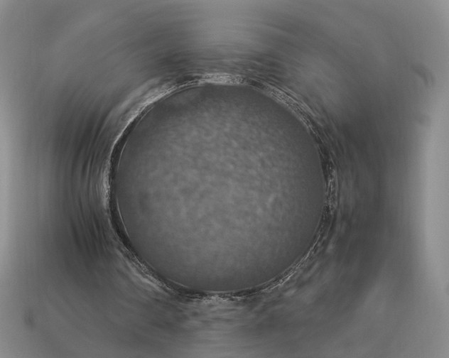 X0000112950290200909071121