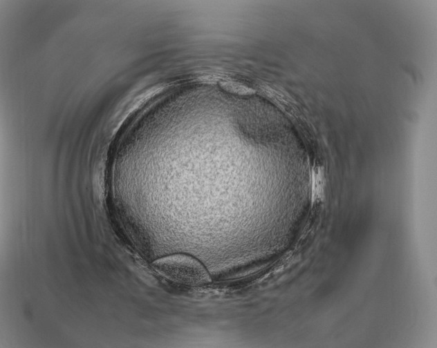 X0000112950291200909071121