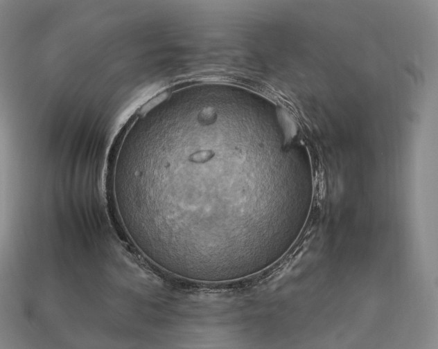 X0000112950292200909071121