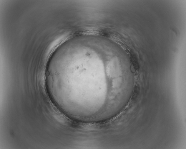 X0000112950293200909071121