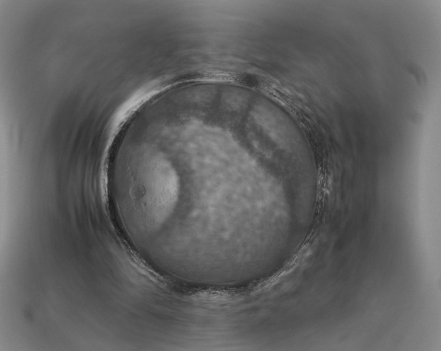 X0000112950294200909071121