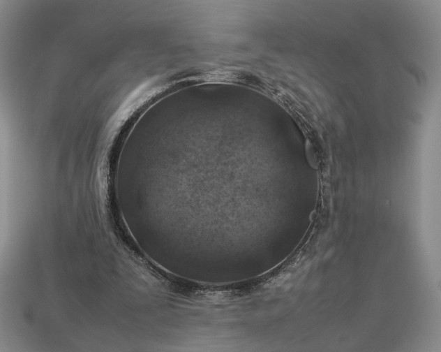 X0000112950295200909071121