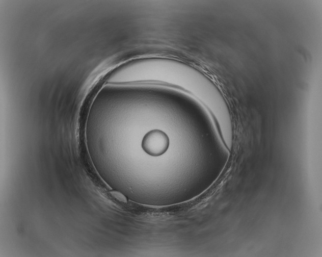 X0000112950296200909071121