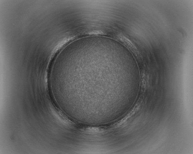 X0000112950298200909071121