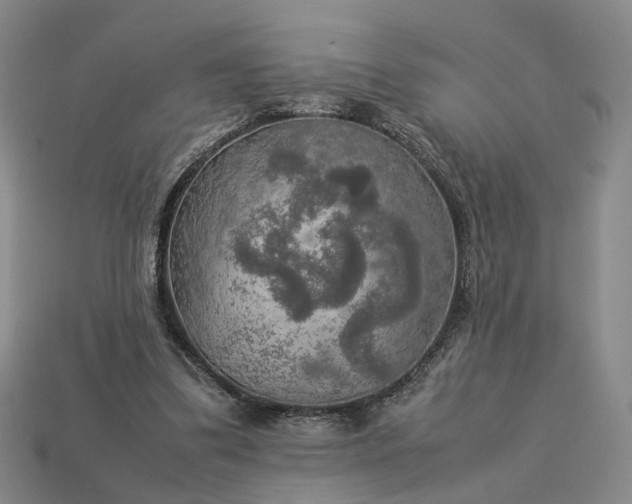 X0000112950299200909071121