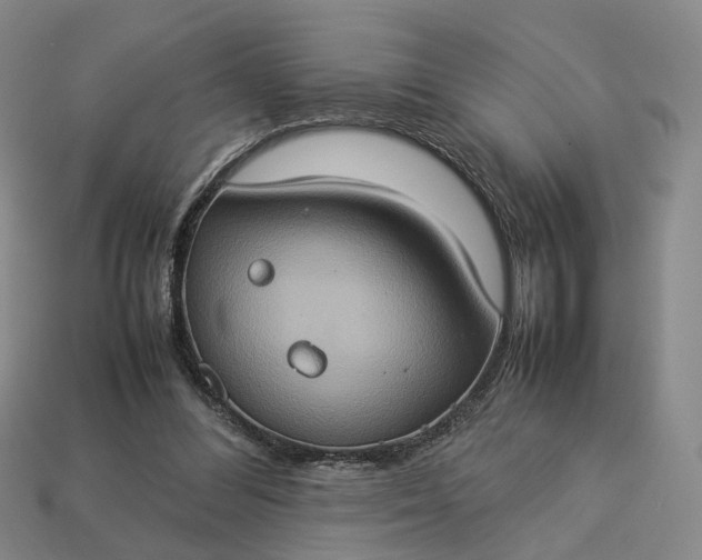 X0000112950300200909071121