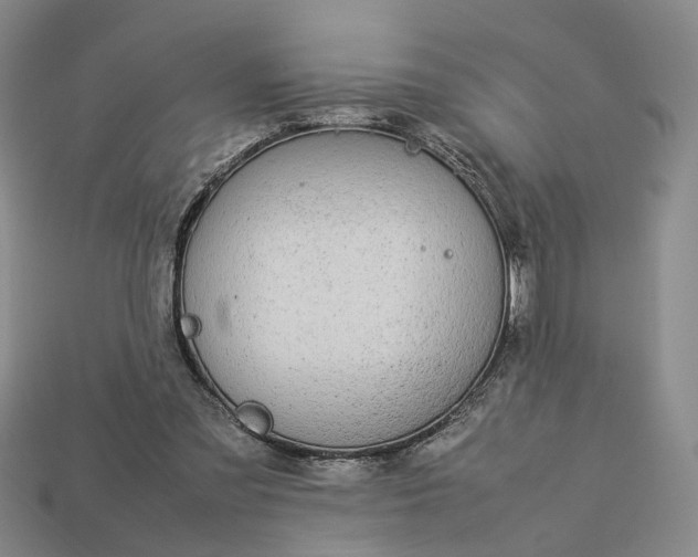 X0000112950301200909071121