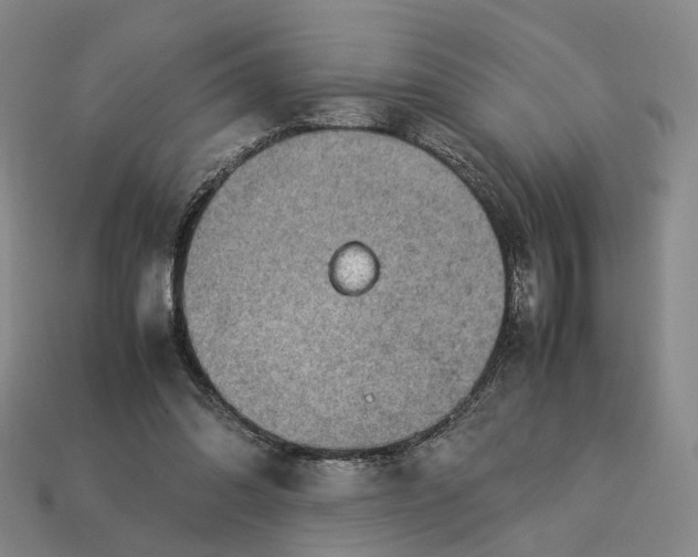 X0000112950302200909071121