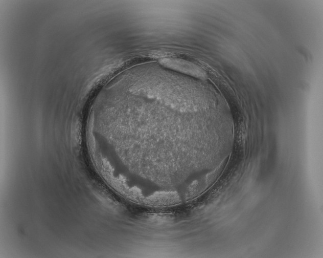 X0000112950303200909071121