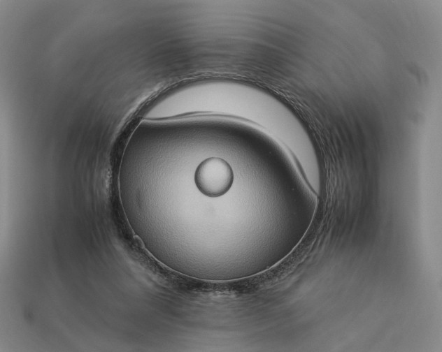 X0000112950304200909071121