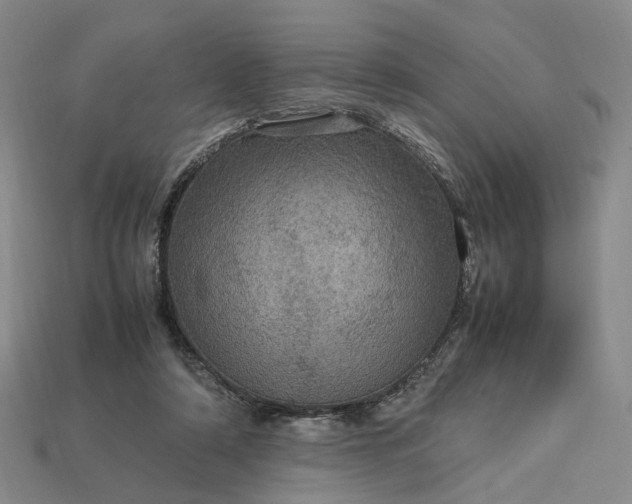 X0000112950306200909071121