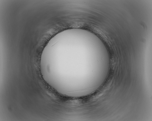 X0000112950307200909071121