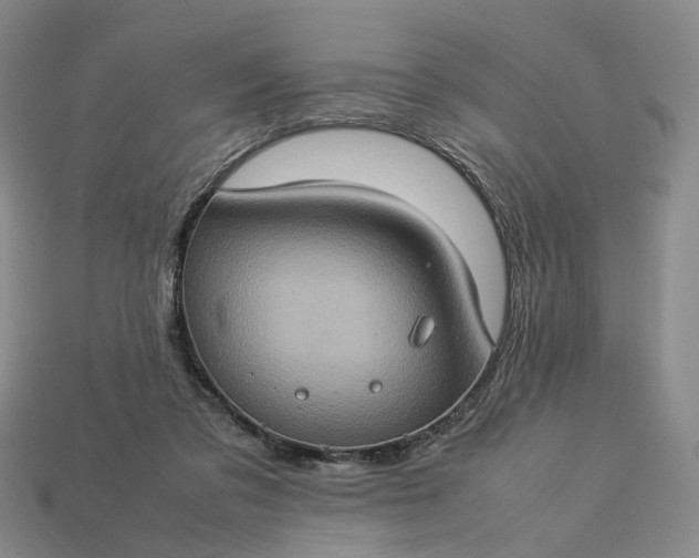 X0000112950309200909071121