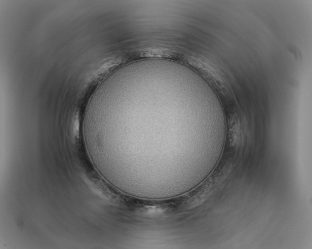 X0000112950310200909071121