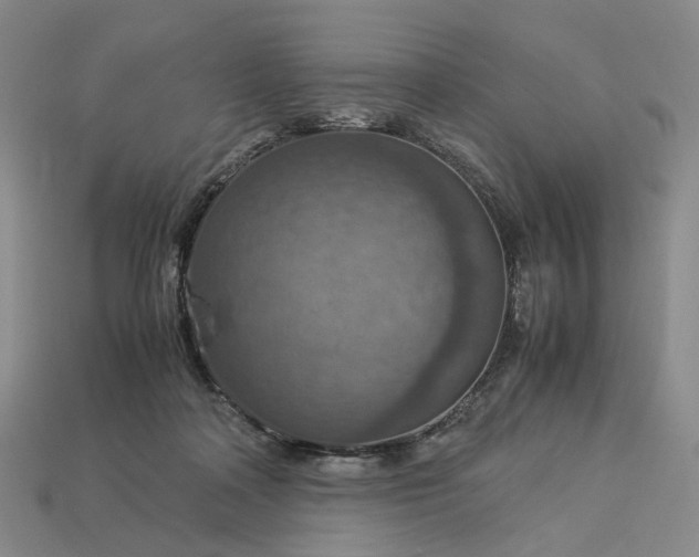 X0000112950314200909071121