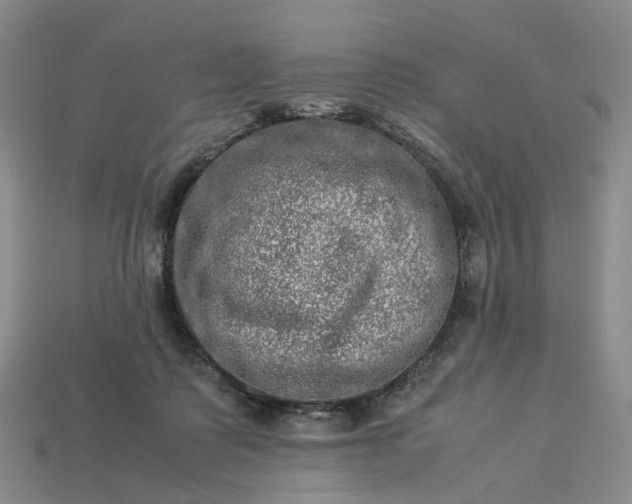 X0000112950315200909071121