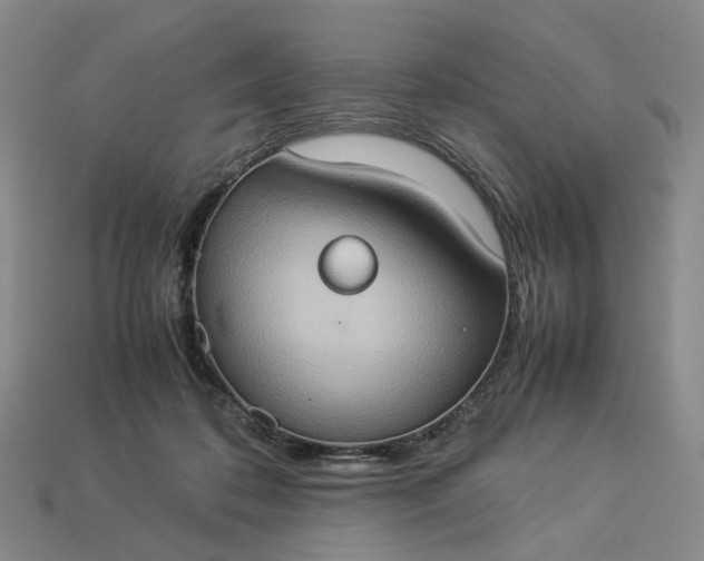 X0000112950316200909071121