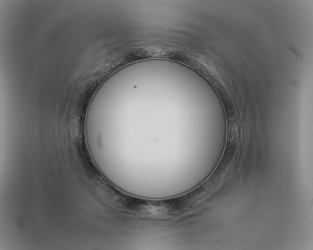 X0000112950317200909071121