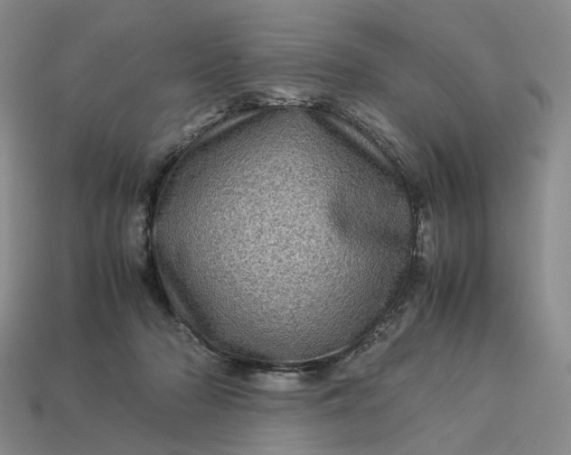 X0000112950318200909071121