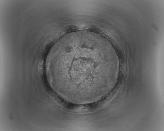 X0000112950319200909071121