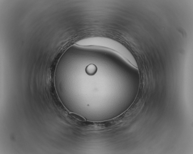 X0000112950320200909071120