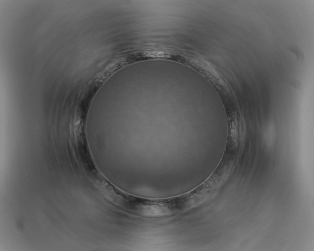 X0000112950322200909071120