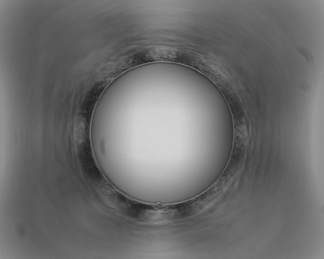 X0000112950323200909071120