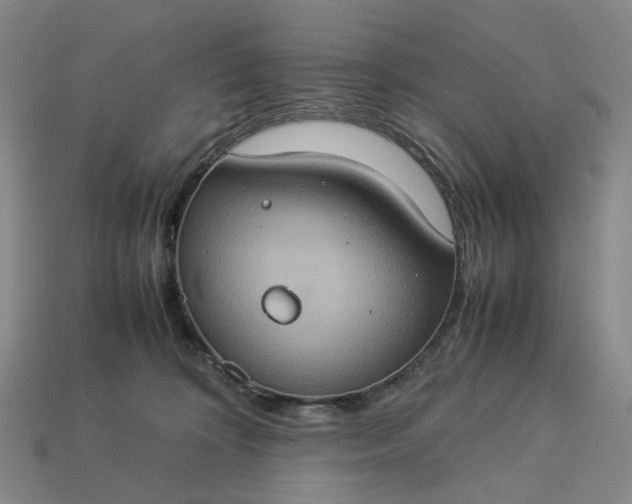 X0000112950324200909071120