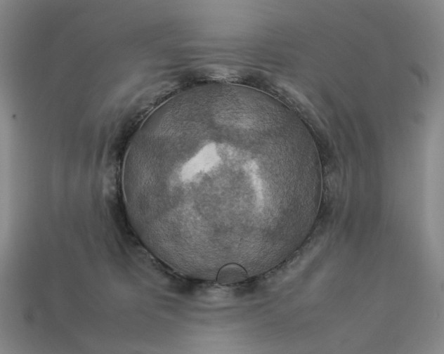 X0000112950325200909071120