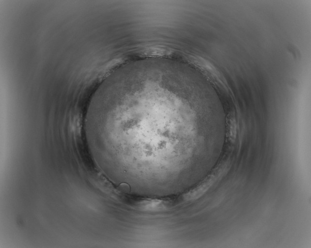 X0000112950326200909071120