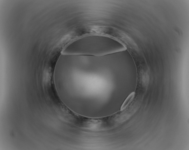 X0000112950328200909071120