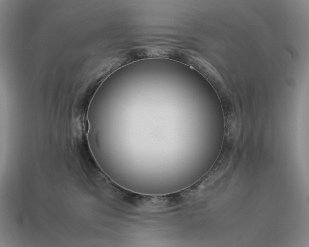 X0000112950329200909071120