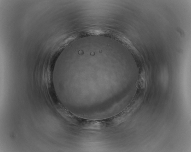 X0000112950330200909071120